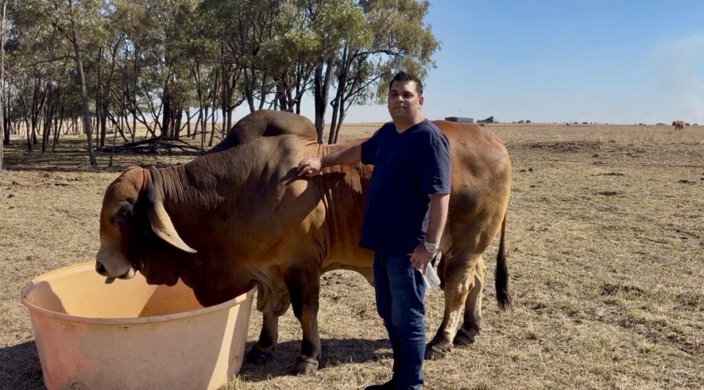 Building Global Connections – A Visit from Mak from IZ Cattles in Pakistan